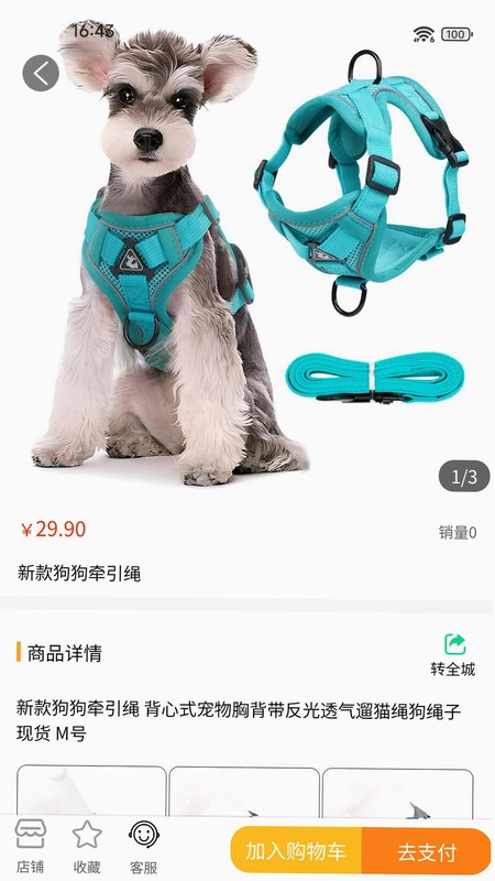 华人汇城市信息库app预览图