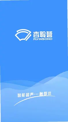 Flyinsono软件预览图