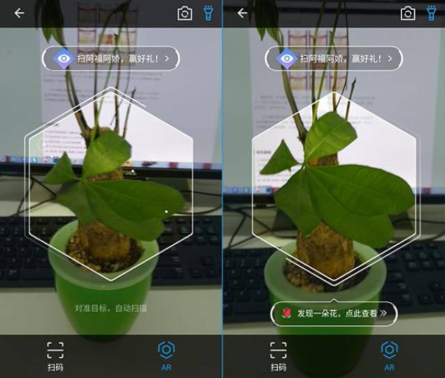 全能扫一扫识别植物花卉技巧