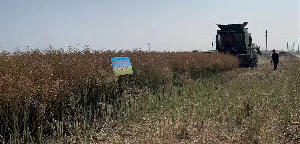宁农科教未来路径展望