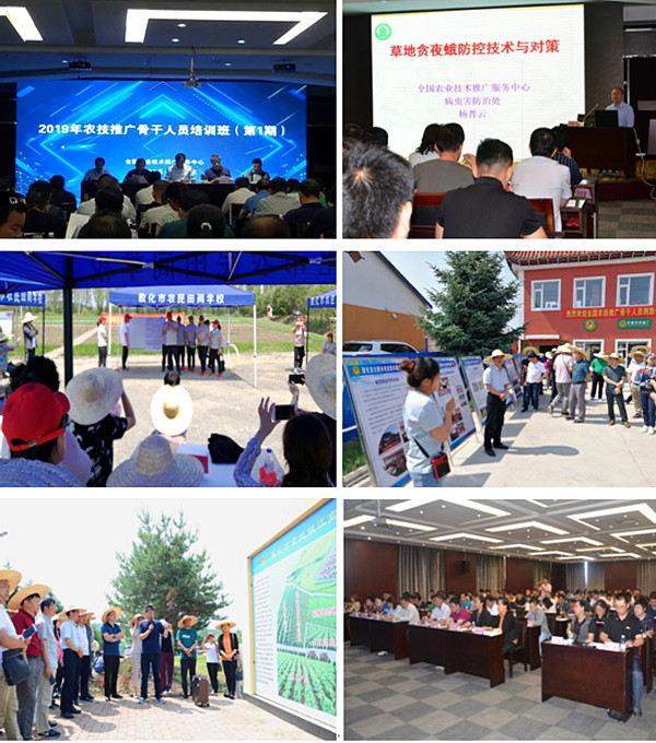 宁农科教农技培训现场农户学习场景