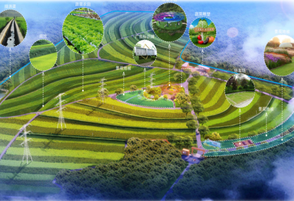 宁农科教乡村振兴服务中心未来展望场景