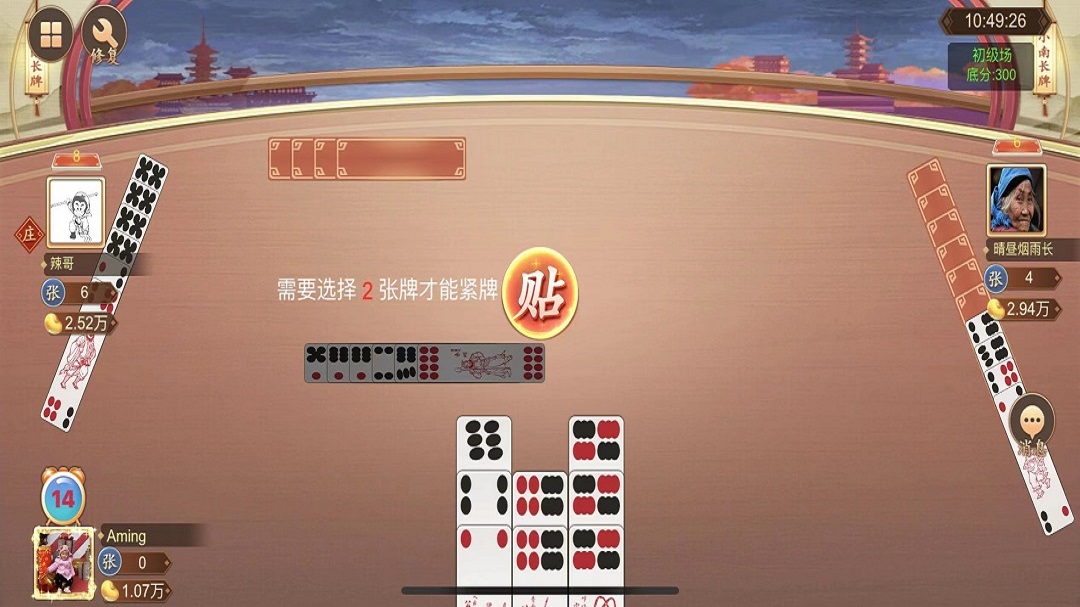 小南四川长牌游戏单机版练习配图