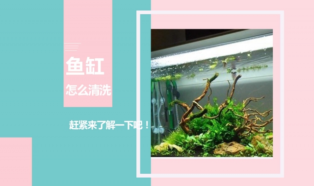 小木鱼怎么清洗才干净保养