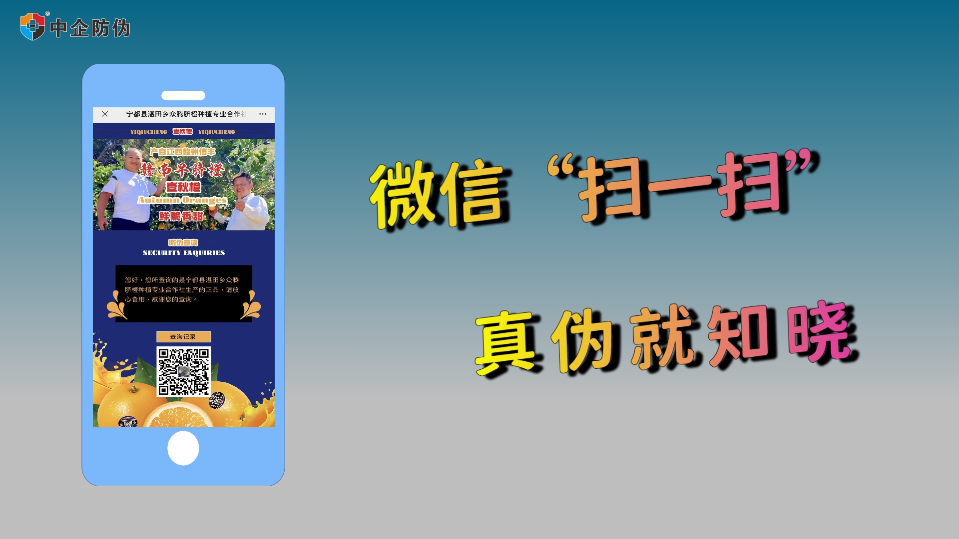 一扫二维码登录官方入口防伪查询