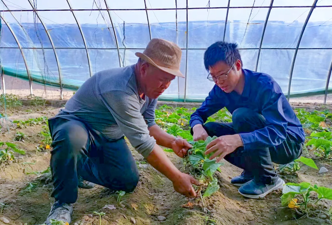 宁农科教科技特派员田间指导
