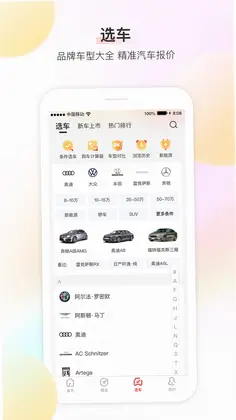 大料汽车预览图
