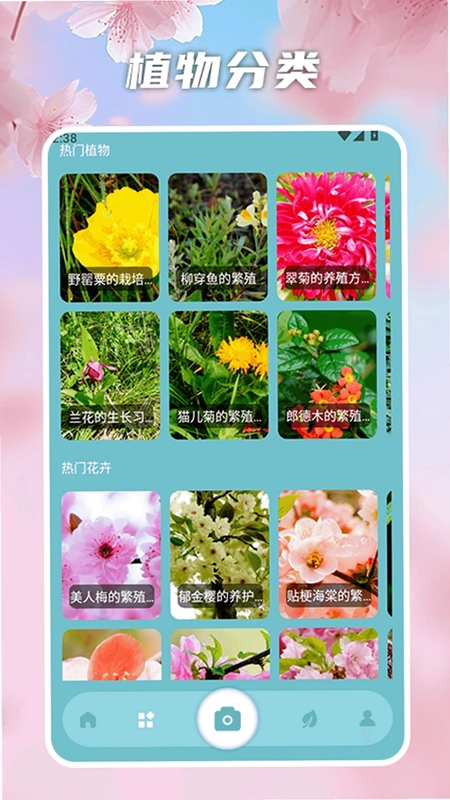 花开物语识别预览图