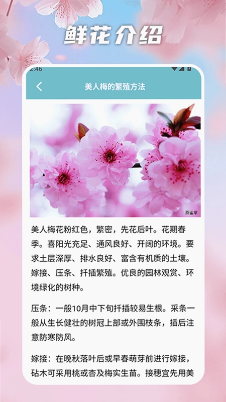 花开物语识别预览图