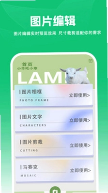 疯狂小羊预览图