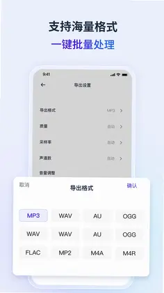 金舟音频人声分离预览图