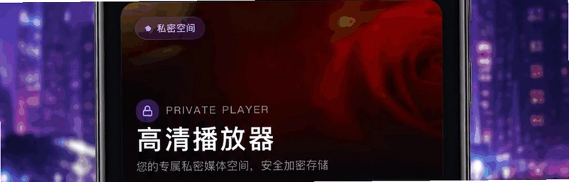 私密视频月色播放器预览图