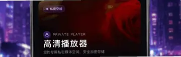 私密视频月色播放器预览图