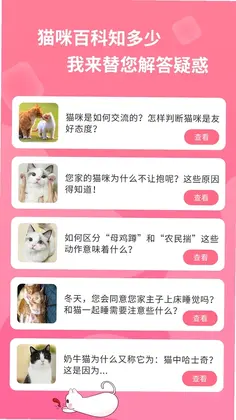 人猫翻译神器预览图