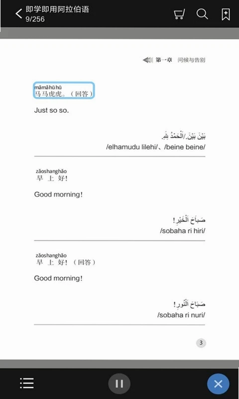 即学即用阿拉伯语预览图