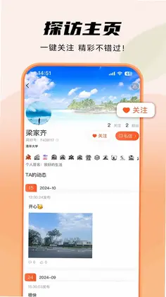 ���嵺�ٷ���Ԥ��ͼ