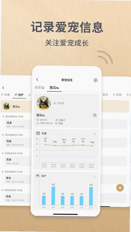 Reli Up预览图