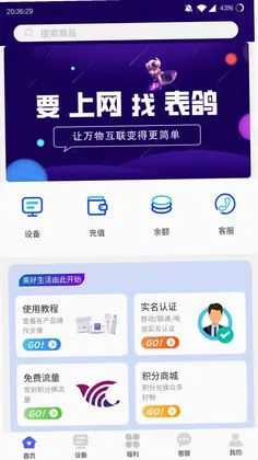 表鸽预览图