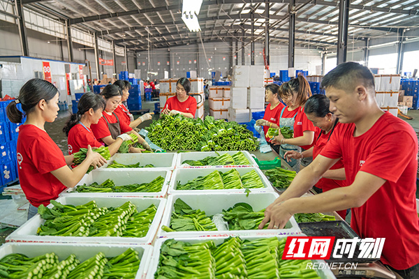 湘当棒优选湖南特产收货验货退货技巧