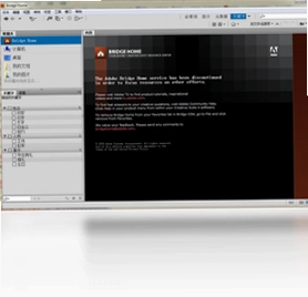 Adobe Bridge CS4预览图
