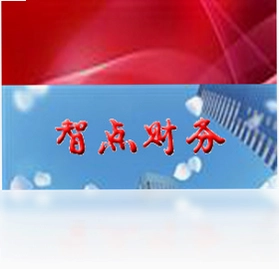 智点财务预览图