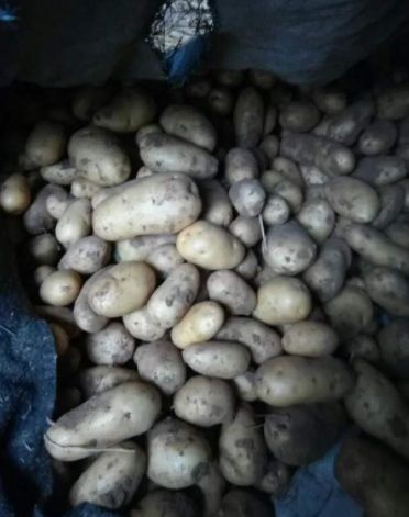 potato�������淽���ܹ����ʾ��ͼ