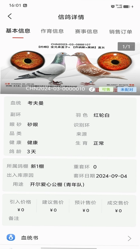信鸽云预览图