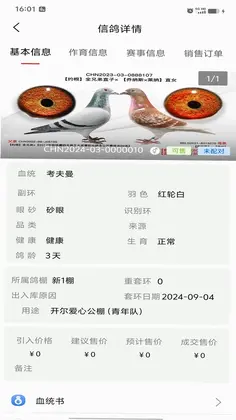 信鸽云预览图