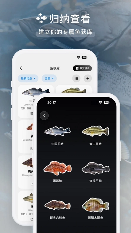 渔伴预览图