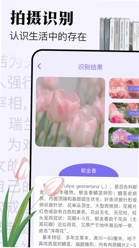 米禾预览图