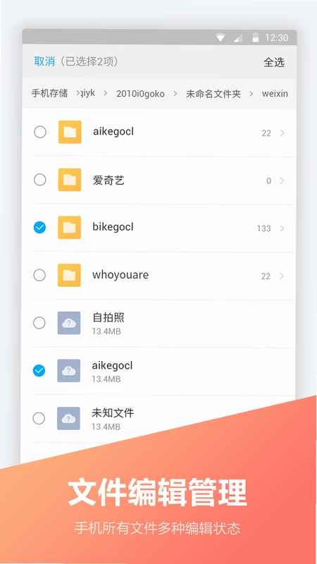 文件编辑器预览图