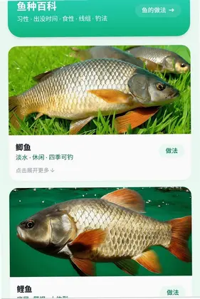 ��������Ԥ��ͼ