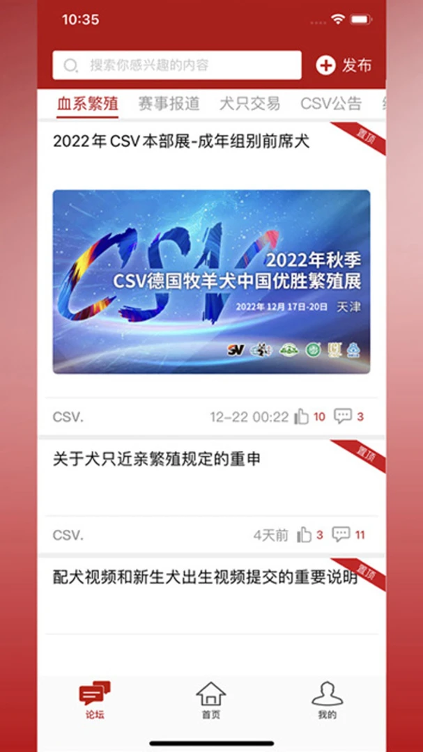 CSV德国牧羊犬