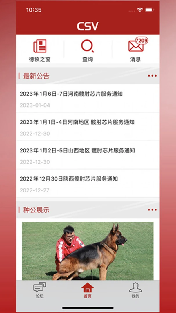 CSV德国牧羊犬