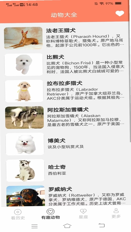 星熠畅看预览图