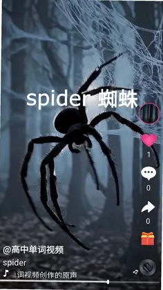 刷单词预览图