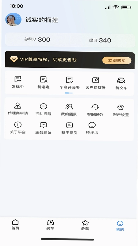 标车网预览图