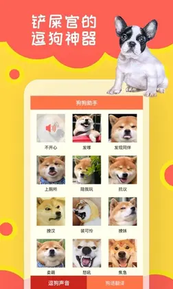 狗狗助手预览图