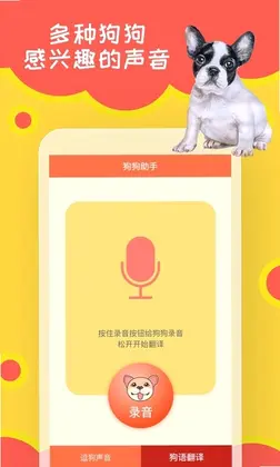 狗狗助手预览图
