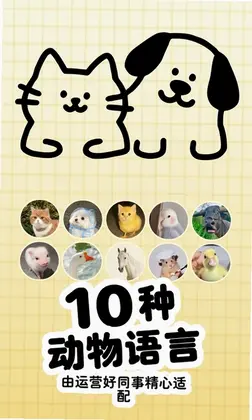 知宠预览图