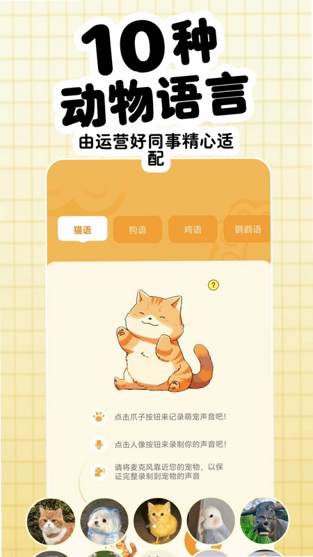 知宠预览图