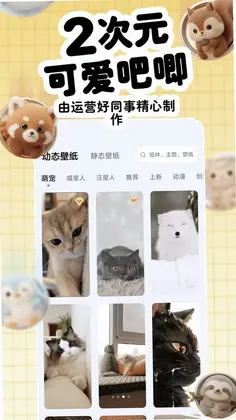 知宠预览图