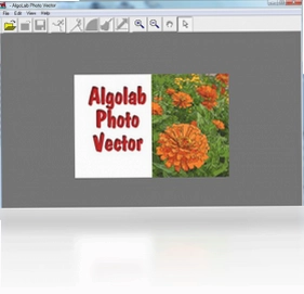 Algolab Photo Vector软件预览图