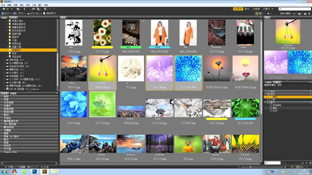 Adobe Bridge CS4使用体验与版本选择建议配图