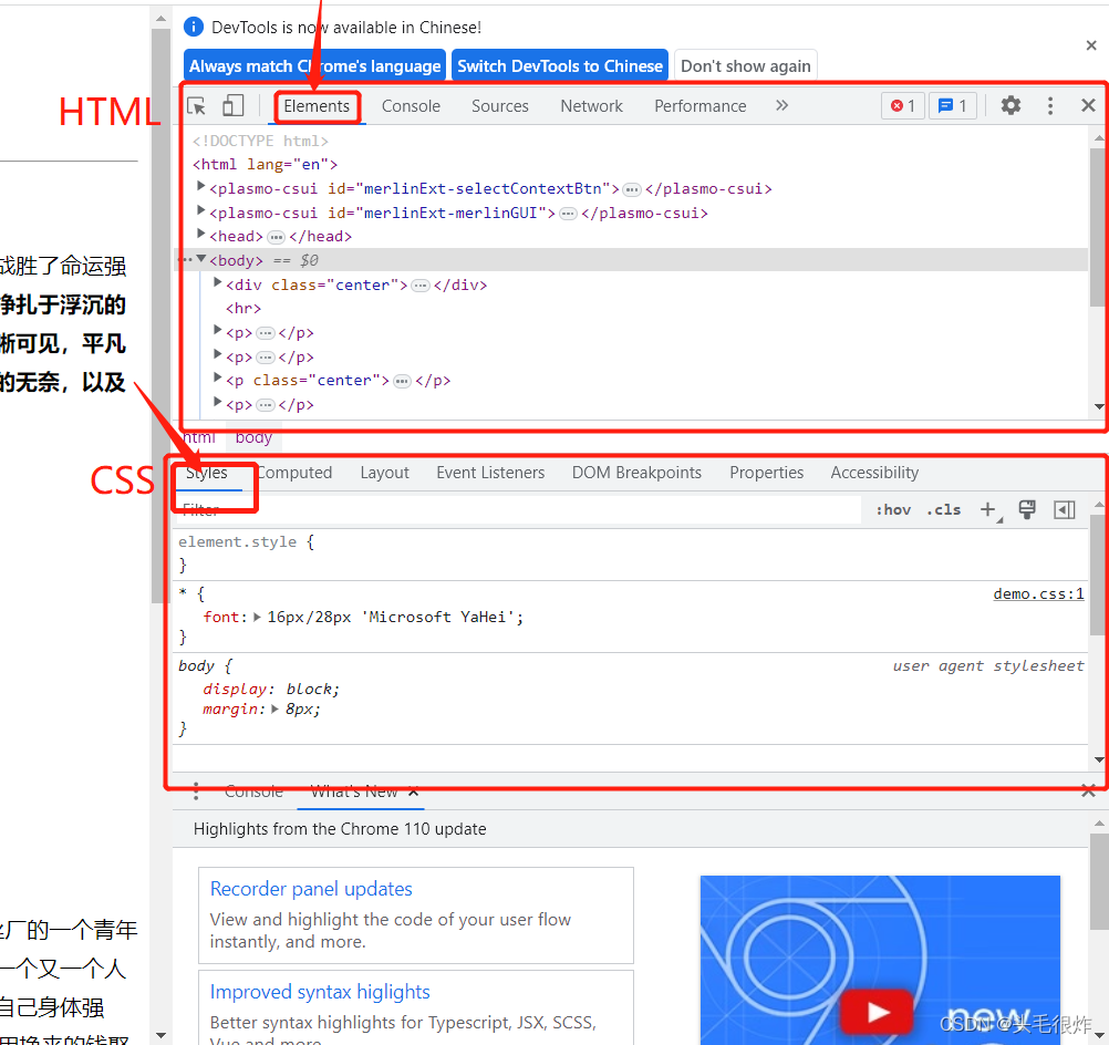 DFM2HTML���°浼��HTML�ļ�����ʽ���Խ�ͼ
