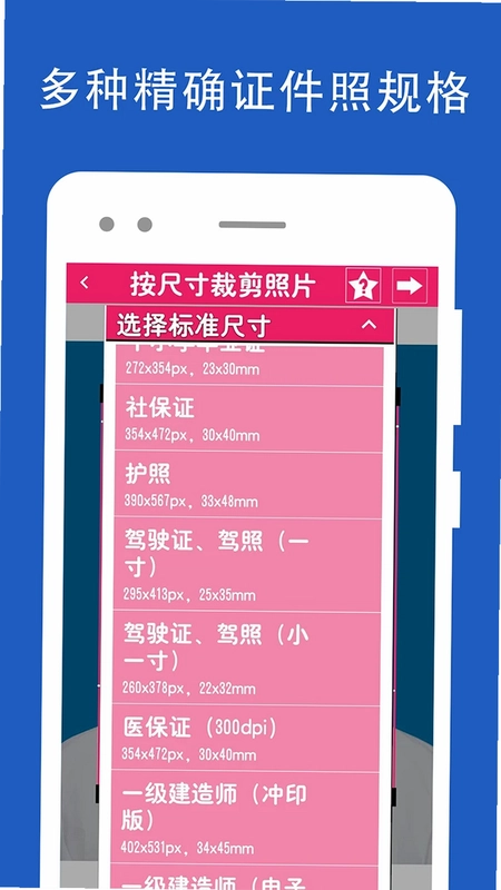 证件照去背预览图