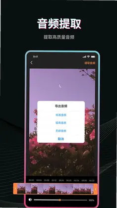 Pr视频剪辑预览图