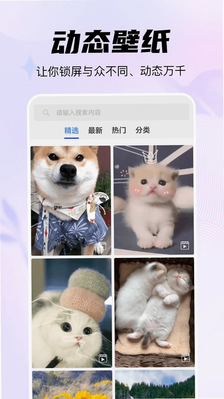 随心手机壁纸预览图