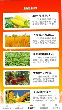 金穗满仓app预览图