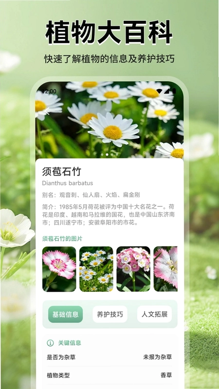 花花乐园预览图